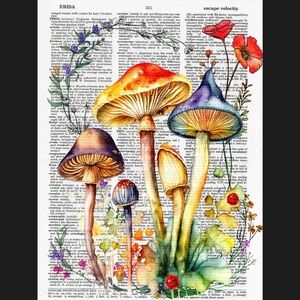 Mushroom Wildflower Poppy Science Botanical Fairy Vintage Dictionary Art Print